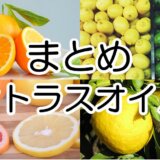 top citrus oil